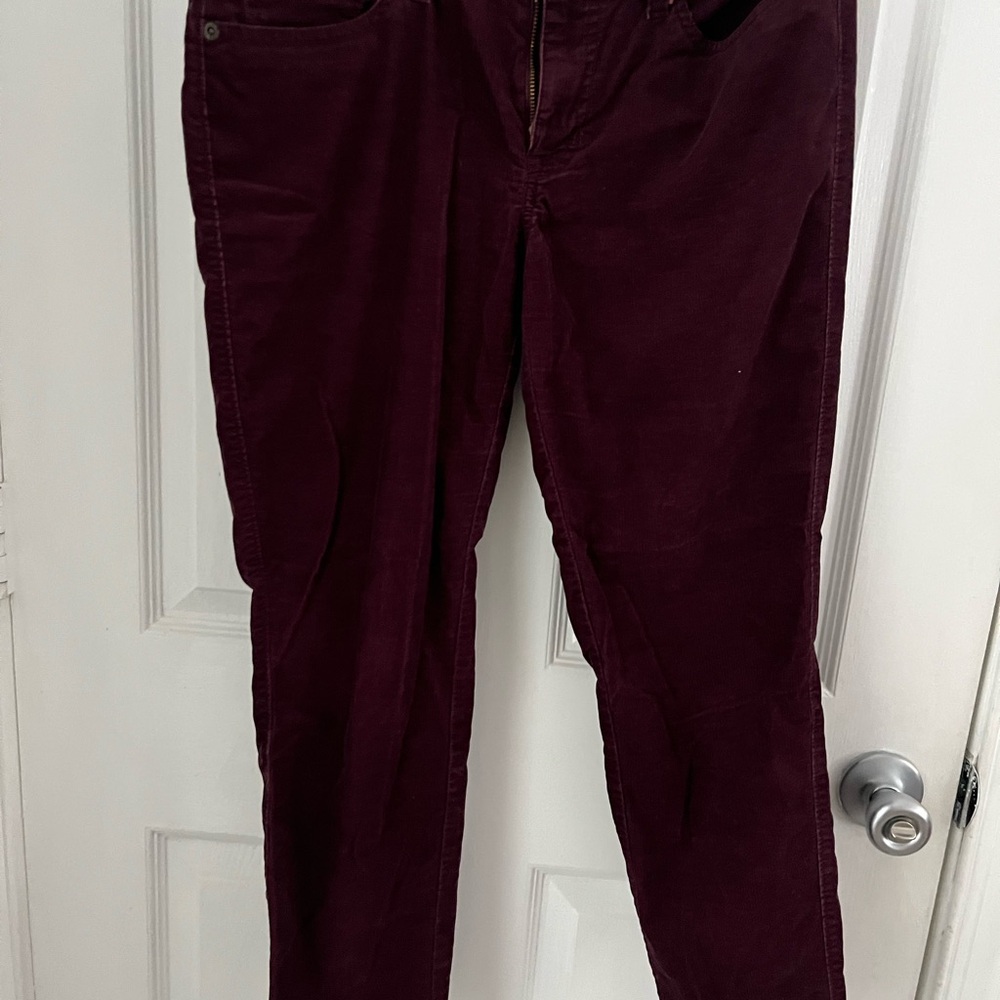GAP Women's Dark Red Skinny Cords